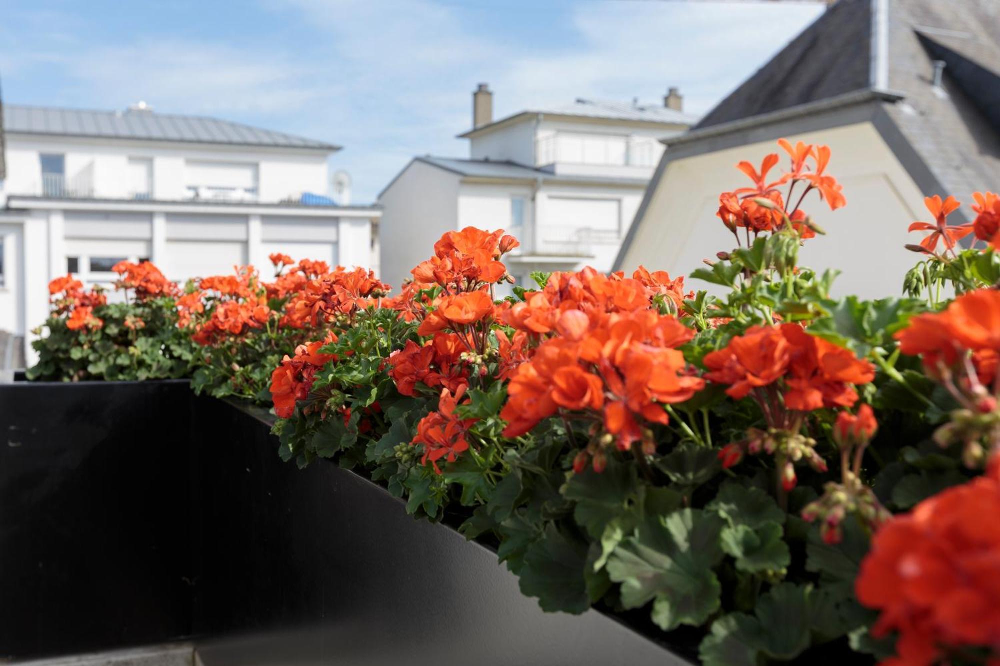 The Queen Luxury Apartments - Villa Vinicia Luxembourg Eksteriør bilde